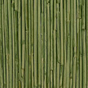 ����� ���� 45X15�"�