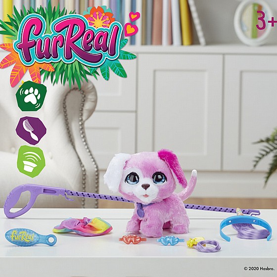 ���� ����� FurReal