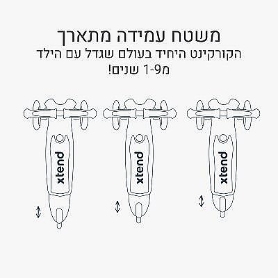 XTEND ���� ���� ���� 12 ������ - 9 ����