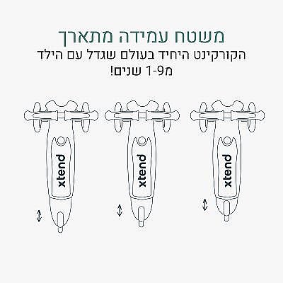 XTEND ���� ���� ���� 12 ������ - 9 ����