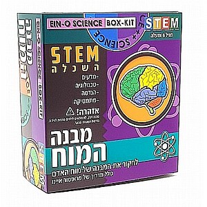 ערכת מדע מבנה המוח - ביני צעצועים ערכת מדע מבנה המוח - ביני צעצועים